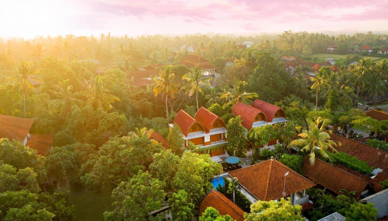 Gunung Merta Bungalows Ουμπούντ Εξωτερικό φωτογραφία